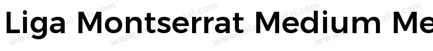 Liga Montserrat Medium Medium字体转换